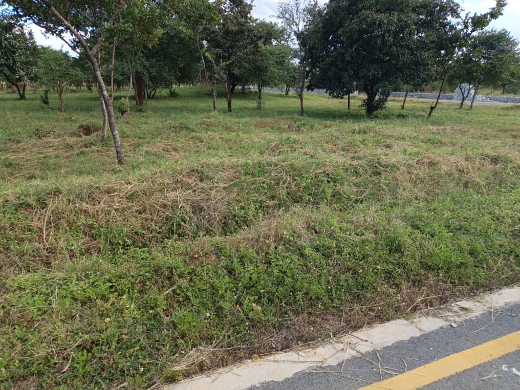 Property Thumbnail